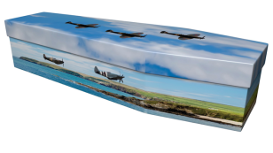 Spitfire Cardboard Coffin