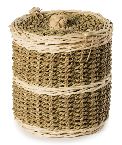 Allium - Ashes Cremated Remains